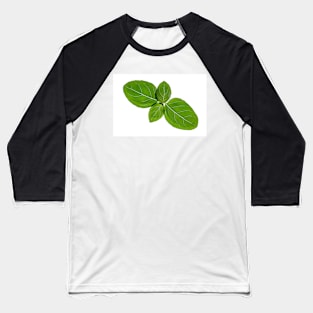 Basil leaves isolated on white background Baseball T-Shirt